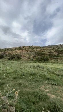 Al-Soudah Park in Asir, nature, parks and green gardens, rocky mountain ranges and high peaks during the day, natural places for adventures, safaris and enjoyment, trees and plants covering the mountain slopes, terrain and mountainous environment of the Abha region