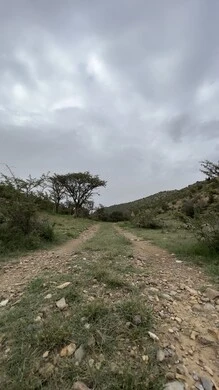 منتزة السودة في عسير، الطبيعة والمنتزهات والحدائق الخضراء، سلاسل الجبال الصخرية والقمم العالية في النهار، أماكن طبيعية للمغامرات ورحلات السفاري والاستمتاع، الشجر والنبات المغطي سفوح الجبل، التضاريس والبيئة الجبلية لمنطقة أبها