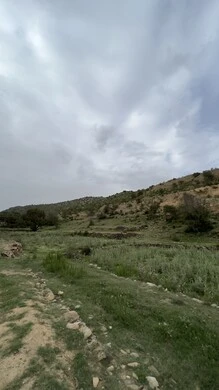 Al-Soudah Park in Asir, nature, parks and green gardens, rocky mountain ranges and high peaks during the day, natural places for adventures, safaris and enjoyment, trees and plants covering the mountain slopes, terrain and mountainous environment of the Abha region