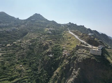 Coffee farms in Al-Dayer Governorate in Jazan region, a natural tourist place and area, trees, plants and green spaces, agricultural terraces on the mountain slopes, peaks and rocky heights during the day