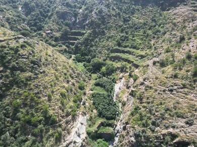 Coffee farms in Al-Dayer Governorate in Jazan region, a natural tourist place and area, trees, plants and green spaces, agricultural terraces on the mountain slopes, peaks and rocky heights during the day