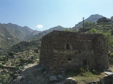 Coffee farms in Al-Dayer Governorate in Jazan region, a natural tourist place and area, trees, plants and green spaces, agricultural terraces on the mountain slopes, peaks and rocky heights during the day