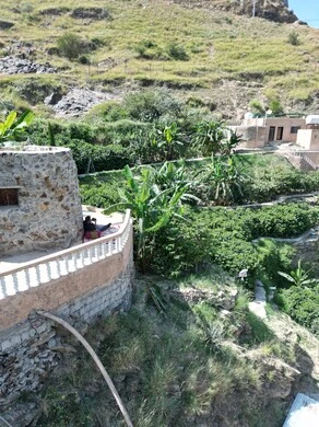 Coffee farms in Al-Dayer Governorate in Jazan region, a natural tourist place and area, trees, plants and green spaces, agricultural terraces on the mountain slopes, peaks and rocky heights during the day