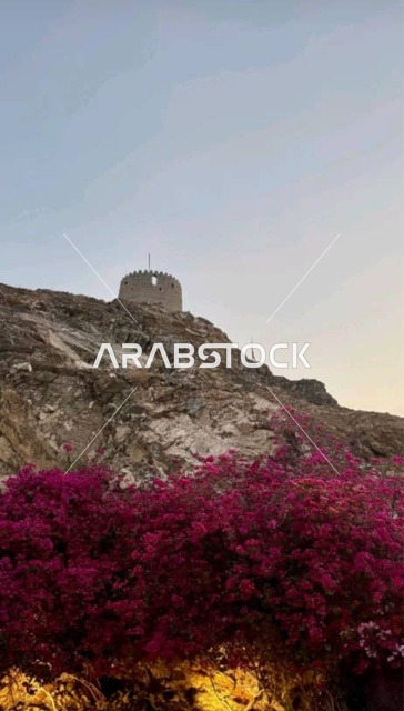 حصن حتا التاريخي في أعلى الجبال في منطقة حتا في إمارة دبي ، أبرز الوجهات السياحية الساحرة ، منطقة تراثية قديمة ، شجرة الجهنمية الوردية، محمية طبيعية في دبي في الإمارات العربية المتحدة