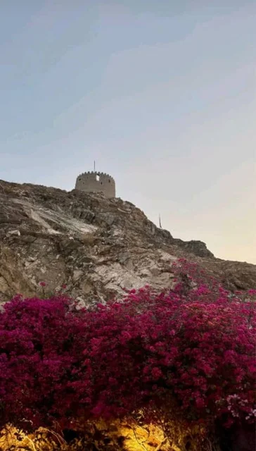 The historic Hatta Fort, located on the highest mountains in the Hatta region of the Emirate of Dubai, is one of the most prominent charming tourist destinations, an ancient heritage area, the pink bougainvillea tree, and a nature reserve in Dubai in the United Arab Emirates.