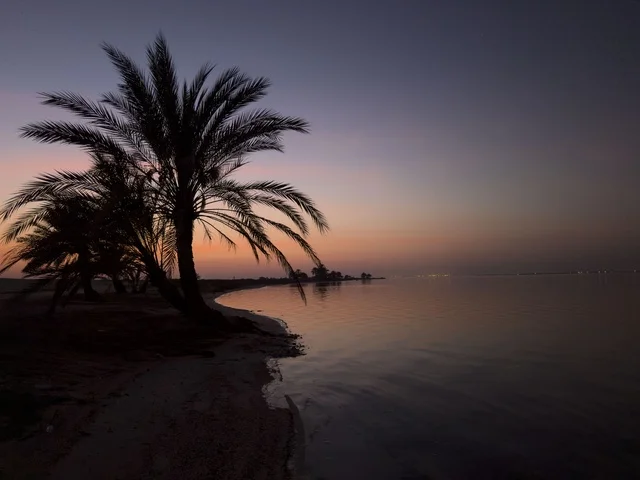 Al-Uqair Beach in Al-Ahsa at sunset, enjoying the summer atmosphere, trips to coastal areas, interest in planting palm trees in tourist areas, beaches and the seafront in the Kingdom of Saudi Arabia