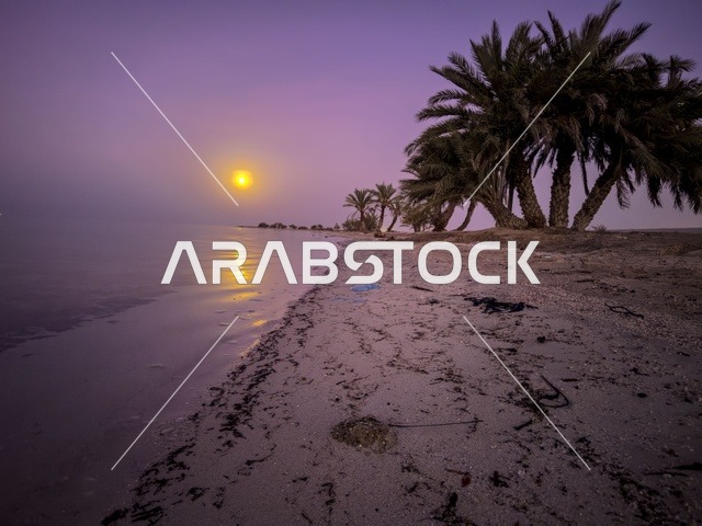 شاطئ العقير بالاحساء في وقت غروب الشمس، الاستمتاع بالاجواء الصيفية، الرحلات الى المناطق الساحلية، الاهتمام بزراعة اشجار النخيل في الأماكن السياحية، السواحل الشاطئية والواجهة البحرية في المملكة العربية السعودية