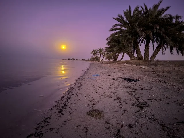 Al-Uqair Beach in Al-Ahsa at sunset, enjoying the summer atmosphere, trips to coastal areas, interest in planting palm trees in tourist areas, beaches and the seafront in the Kingdom of Saudi Arabia