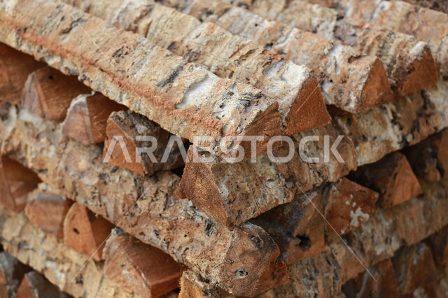 مجموعة من جذوع الأشجار المرصوصة ، قطع الاشجار في مزارع المملكة العربية السعودية ، صناعة الأخشاب في السعودية