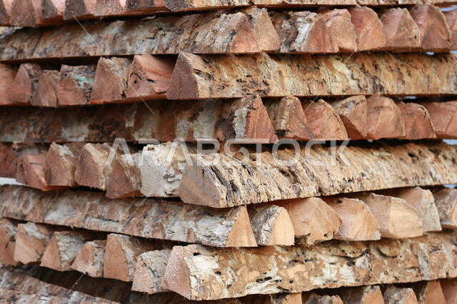 مجموعة من جذوع الأشجار المرصوصة ، قطع الاشجار في مزارع المملكة العربية السعودية ، صناعة الأخشاب في السعودية