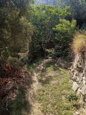 Fifa Mountains in Jazan, southern Saudi Arabia, rocky peaks and heights during the day, a natural tourist area and region, trees, plants and green spaces, agricultural terraces on the mountain slopes