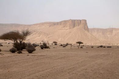 Natural mountain peaks and heights in desert areas, rock formations and mountains amidst sandy nature during the day, a famous tourist place and area in the Kingdom of Saudi Arabia, the growth of wild plants and herbs, soft golden sand