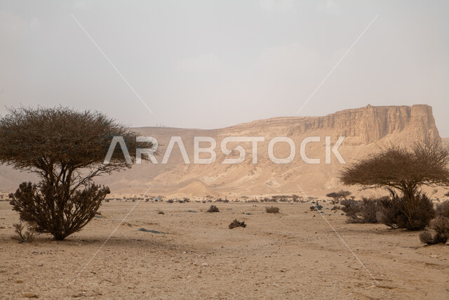 القمم والمرتفعات الجبلية الطبيعية في المناطق الصحراوية، التكوينات والتشكيلات الصخرية والجبال وسط الطبيعة الرملية في النهار، مكان  ومنطقة سياحية مشهورة في المملكة العربية السعودية، نمو النباتات والاعشاب البرية، الرمال الذهبية الناعمة