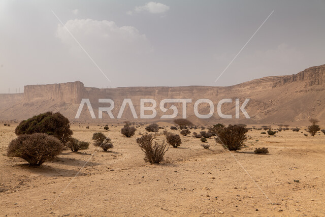 Natural mountain peaks and heights in desert areas, rock formations and mountains amidst sandy nature during the day, a famous tourist place and area in the Kingdom of Saudi Arabia, the growth of wild plants and herbs, soft golden sand