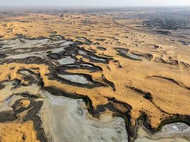The growth of green plants and wild grasses in desert lands, salt marshes in the desert, dunes and soft golden sand, sand formations and formations in the Kingdom of Saudi Arabia