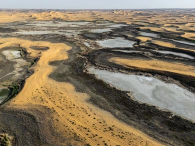 The growth of green plants and wild grasses in desert lands, salt marshes in the desert, dunes and soft golden sand, sand formations and formations in the Kingdom of Saudi Arabia