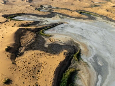 The growth of green plants and wild grasses in desert lands, salt marshes in the desert, dunes and soft golden sand, sand formations and formations in the Kingdom of Saudi Arabia