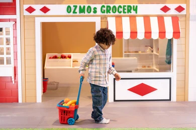 Learn how to shop for fresh vegetables from the grocery store, support and develop children's skills, and have fun at the amusement park. An Emirati Gulf Arab boy wearing casual clothes pulls a shopping cart. Healthy and nutritious food.