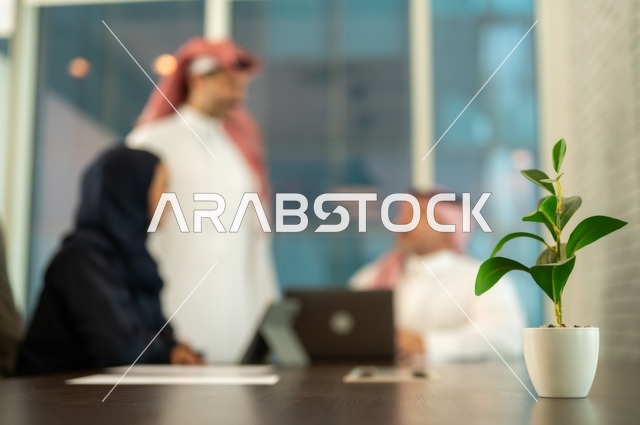 تطوير العمل وحل المشكلات، اجراء اجتماع لفريق عمل عرب خليجيين سعوديين داخل مقر الشركة، دراسة وتحليل المشاريع الجديدة، الوحدة والعمل الجماعي، ورش عمل وتدريب، استخدام جهاز تقني حديث، مهنة ووظيفة سعودية مكتبية