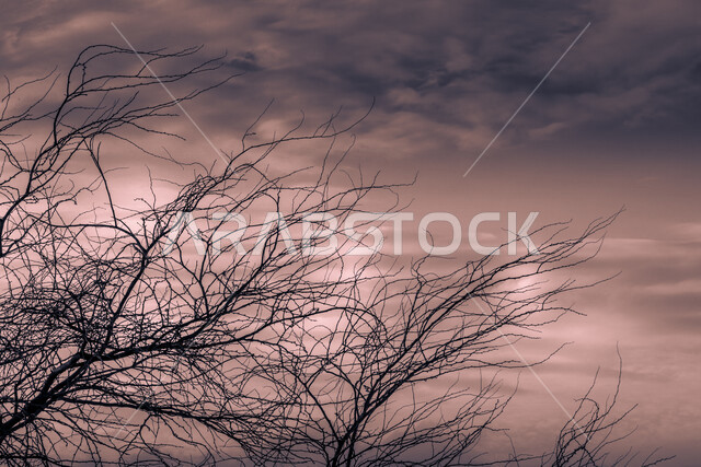 الوادي الأخضر اثناء غروب الشمس في جدة بالمملكة العربية السعودية، مناظر طبيعية خلابة، جمال الطبيعة في السعودية، اماكن سياحية