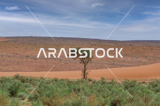 شروق الشمس في كورنيش جدة ، صورة لجمال الطبيعة في المملكة العربية السعودية ، جمال الطبيعة الخلابة على ساحل مدينة جدة ، معالم السياحة في المملكة العربية السعودية