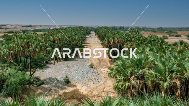 جريان المياه فى الوادى ، صورة لجمال الطبيعة في المملكة العربية السعودية ، جمال الطبيعة الخلابة على ساحل مدينة جدة ، معالم السياحة في المملكة العربية السعودية