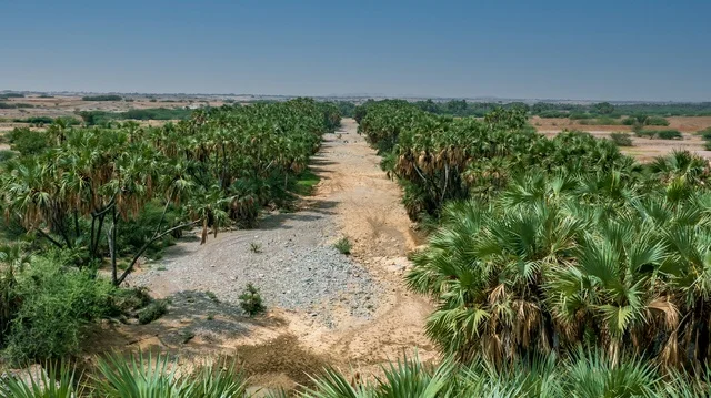 The flow of water in the valley, a picture of the beauty of nature in the Kingdom of Saudi Arabia, the stunning natural beauty along the coast of the city of Jeddah, tourist attractions in the Kingdom of Saudi Arabia.
