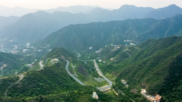 النباتات الصحراوية الخلابة ، صورة لجمال الطبيعة في المملكة العربية السعودية  ، جمال الطبيعة الخلابة على ساحل مدينة جدة ، معالم السياحة في المملكة العربية السعودية