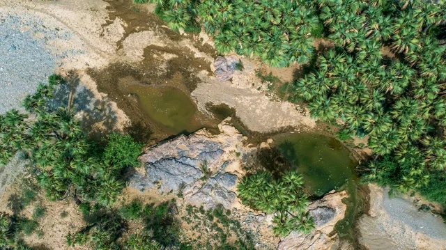 صورة لجمال الطبيعة في المملكة العربية السعودية ، جمال الطبيعة الخلابة على ساحل مدينة جدة ، معالم السياحة في المملكة العربية السعودية