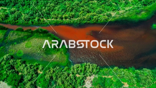 النباتات الخضراء والاشجار، صورة لجمال الطبيعة في المملكة العربية السعودية  ، جمال الطبيعة الخلابة على ساحل مدينة جدة ، معالم السياحة في المملكة العربية السعودية