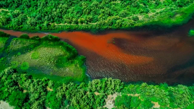 النباتات الخضراء والاشجار، صورة لجمال الطبيعة في المملكة العربية السعودية  ، جمال الطبيعة الخلابة على ساحل مدينة جدة ، معالم السياحة في المملكة العربية السعودية