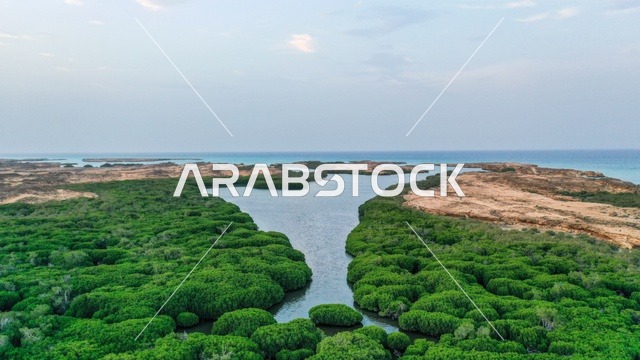 شواطئ جزيرة فرسان في جازان جنوب غرب الممكلة العربية السعودية، أمواج البحر الهادئة على شاطئ البحر الأحمر في وقت النهار، وجهة سياحية فاخرة في السعودية، اماكن سياحيه فى السعوديه
