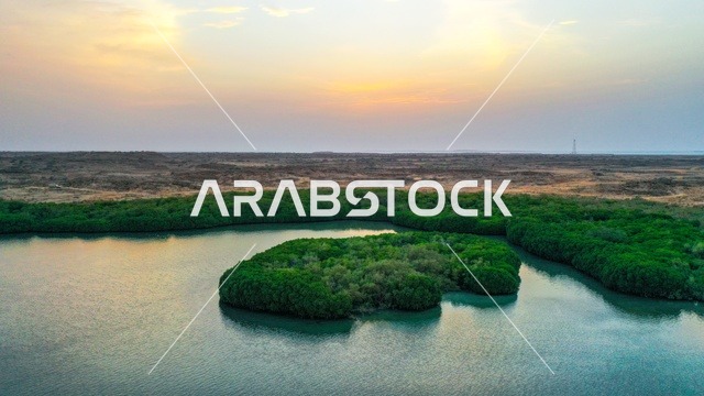 الاشجار والنباتات الخضراء ، شواطئ جزيرة فرسان في جازان جنوب غرب الممكلة العربية السعودية، أمواج البحر الهادئة على شاطئ البحر الأحمر في وقت النهار، وجهة سياحية فاخرة في السعودية