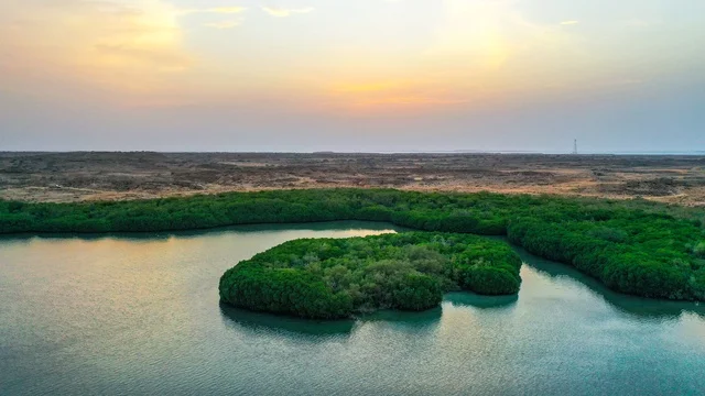 الاشجار والنباتات الخضراء ، شواطئ جزيرة فرسان في جازان جنوب غرب الممكلة العربية السعودية، أمواج البحر الهادئة على شاطئ البحر الأحمر في وقت النهار، وجهة سياحية فاخرة في السعودية