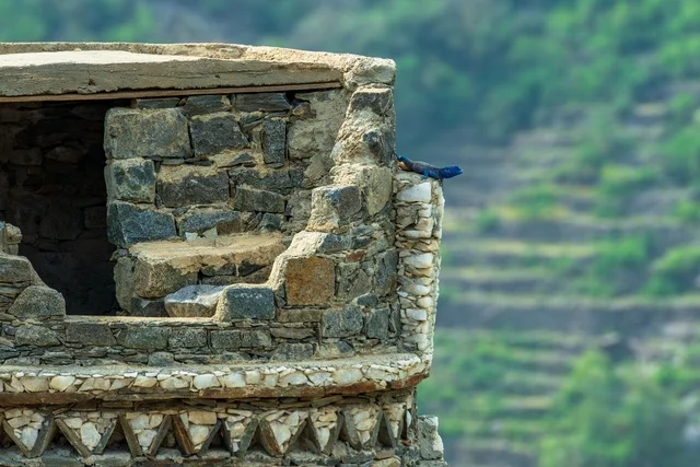 The archaeological village of Al-Hawzah, the Asiri architecture, old houses in the Asir region, historical archaeological sites in the Kingdom of Saudi Arabia.