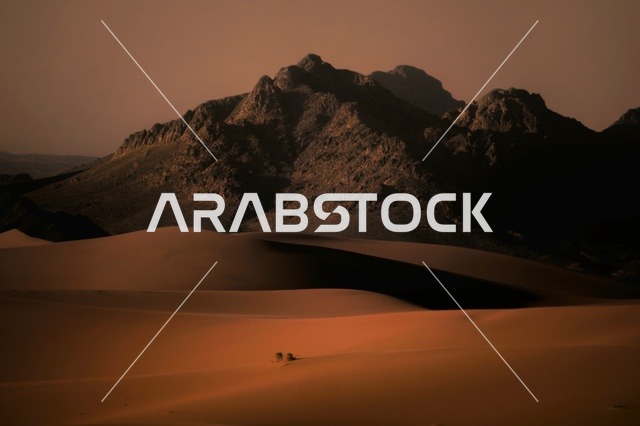 The dense, soft golden sands and dunes in the Arabian desert, the hills and sandy plateaus, and the natural desert areas in the Kingdom of Saudi Arabia.