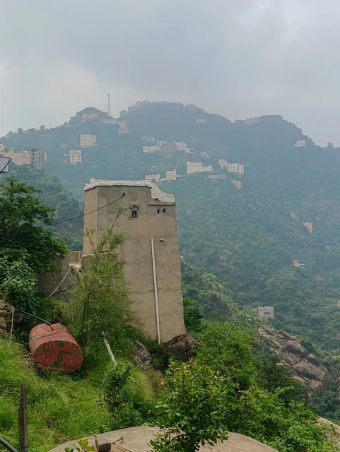 الطبيعة الساحرة في محافظة فيفاء بمنطقة جازان جنوب المملكة العربية السعودية ، الاماكن السياحية المشهورة، النباتات الخضراء والأشجار على القمم والمرتفعات الجبلية في منطقة جازان، المناظر الطبيعية المتميزة