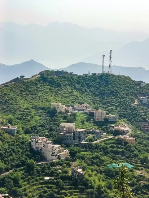 الطبيعة الساحرة في محافظة فيفاء بمنطقة جازان جنوب المملكة العربية السعودية ، الاماكن السياحية المشهورة، النباتات الخضراء والأشجار على القمم والمرتفعات الجبلية في منطقة جازان، المناظر الطبيعية المتميزة