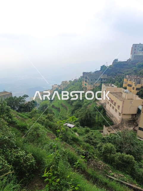 المناظر الطبيعية المتميزة، الطبيعة الساحرة في محافظة فيفاء بمنطقة جازان جنوب المملكة العربية السعودية ، الاماكن السياحية المشهورة، النباتات الخضراء والأشجار على القمم والمرتفعات الجبلية في منطقة جازان