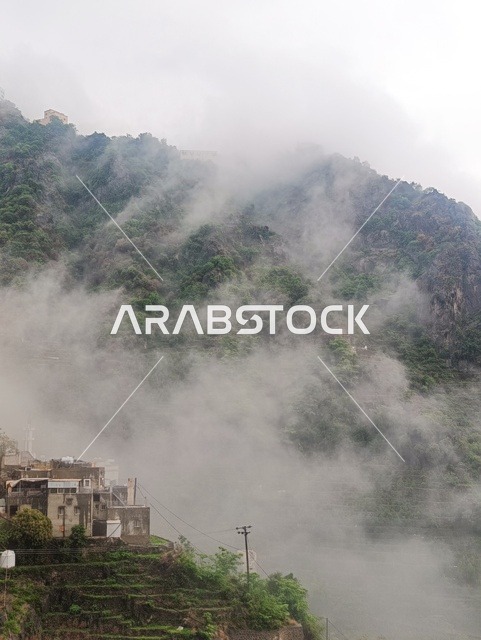 المناظر الطبيعية المتميزة، الطبيعة الساحرة في محافظة فيفاء بمنطقة جازان جنوب المملكة العربية السعودية ، الاماكن السياحية المشهورة، النباتات الخضراء والأشجار على القمم والمرتفعات الجبلية في منطقة جازان
