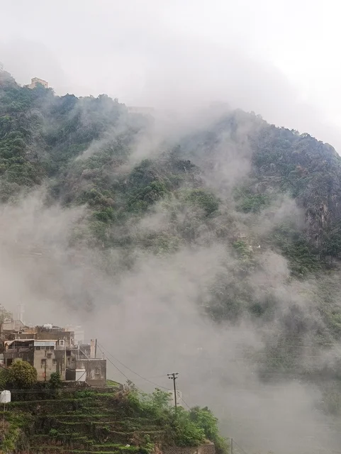 المناظر الطبيعية المتميزة، الطبيعة الساحرة في محافظة فيفاء بمنطقة جازان جنوب المملكة العربية السعودية ، الاماكن السياحية المشهورة، النباتات الخضراء والأشجار على القمم والمرتفعات الجبلية في منطقة جازان