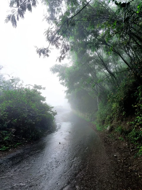 طرق وشوارع المحافظة،الطبيعة الساحرة في محافظة فيفاء بمنطقة جازان جنوب المملكة العربية السعودية ، الاماكن السياحية المشهورة، النباتات الخضراء والأشجار  في منطقة جازان، المناظر الطبيعية المتميزة