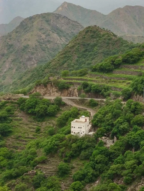البيوت والمباني السكنية على القمم والمرتفعات الجبلية في محافظة فيفاء، المدرجات الزراعية في مدينة جازان في السعودية، الأشجار والنباتات الخضراء على سفوح الجبال ، خلفية الطبيعة في المملكة .