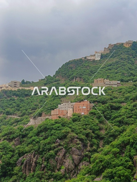 البيوت والمباني السكنية على القمم والمرتفعات الجبلية في محافظة فيفاء، المدرجات الزراعية في مدينة جازان في السعودية، الأشجار والنباتات الخضراء على سفوح الجبال ، خلفية الطبيعة في المملكة .