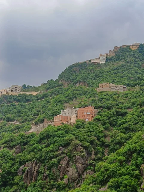 البيوت والمباني السكنية على القمم والمرتفعات الجبلية في محافظة فيفاء، المدرجات الزراعية في مدينة جازان في السعودية، الأشجار والنباتات الخضراء على سفوح الجبال ، خلفية الطبيعة في المملكة .