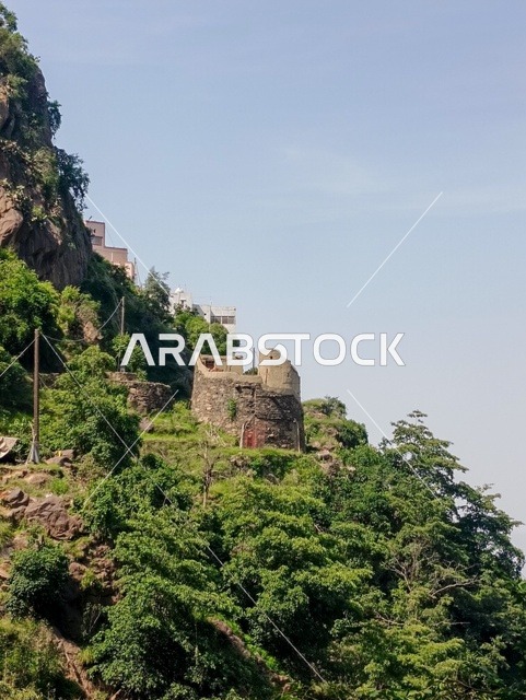 البيوت والمباني السكنية على القمم والمرتفعات الجبلية في محافظة فيفاء، المدرجات الزراعية في مدينة جازان في السعودية، الأشجار والنباتات الخضراء على سفوح الجبال ، خلفية الطبيعة في المملكة .