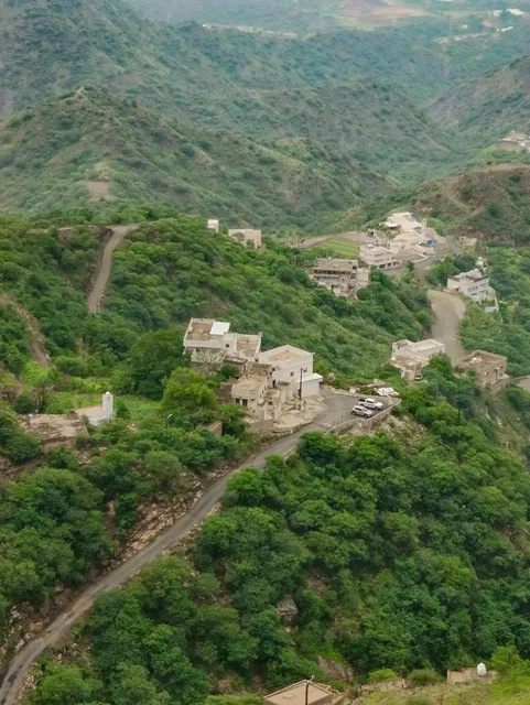 الأشجار والنباتات الخضراء على سفوح الجبال ، البيوت والمباني السكنية على القمم والمرتفعات الجبلية في محافظة فيفاء، المدرجات الزراعية في مدينة جازان في السعودية، خلفية الطبيعة في المملكة .