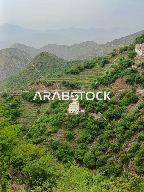 خلفية الطبيعة في المملكة، البيوت والمباني السكنية على القمم والمرتفعات الجبلية في محافظة فيفاء، المدرجات الزراعية في مدينة جازان في السعودية، الأشجار والنباتات الخضراء على سفوح الجبال  .