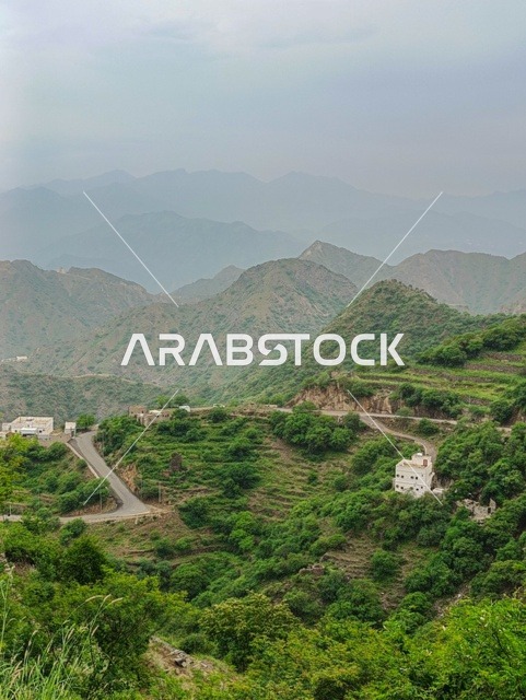 خلفية الطبيعة في المملكة، البيوت والمباني السكنية على القمم والمرتفعات الجبلية في محافظة فيفاء، المدرجات الزراعية في مدينة جازان في السعودية، الأشجار والنباتات الخضراء على سفوح الجبال  .