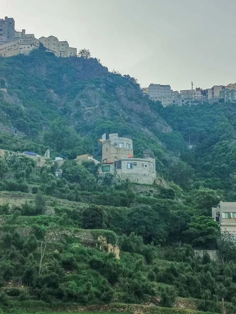 The green trees and plants on the slopes of the mountains, the houses and residential buildings on the peaks and highlands in the province of Faifa, the agricultural terraces in the city of Jazan in Saudi Arabia, the natural backdrop in the Kingdom.